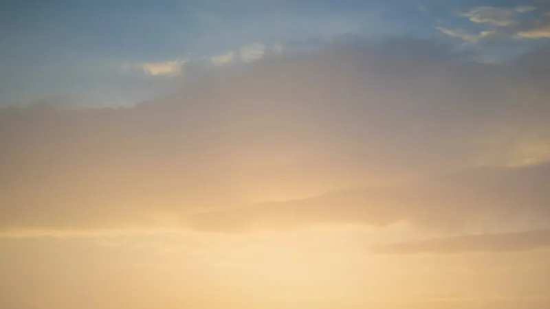 Turning Graves Into Gardens